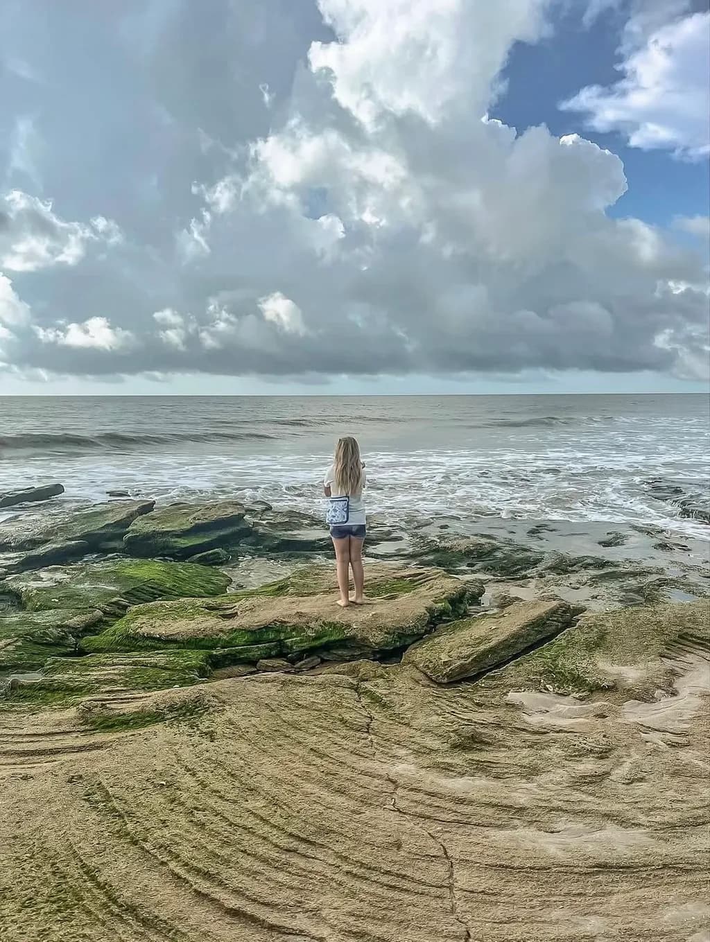 Tidepool Solitude