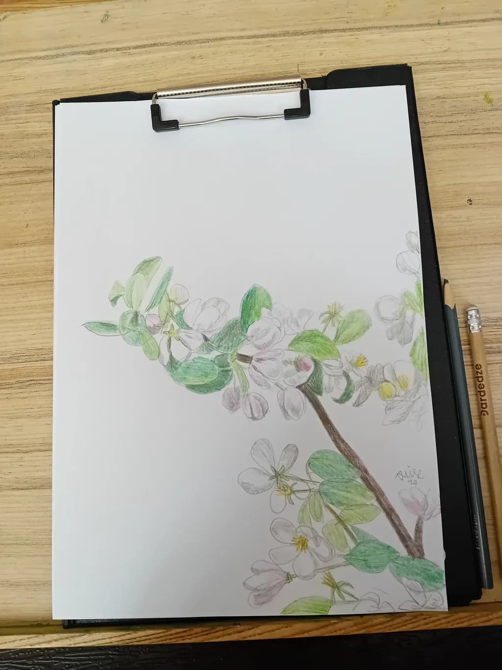 Blooming Branch Study