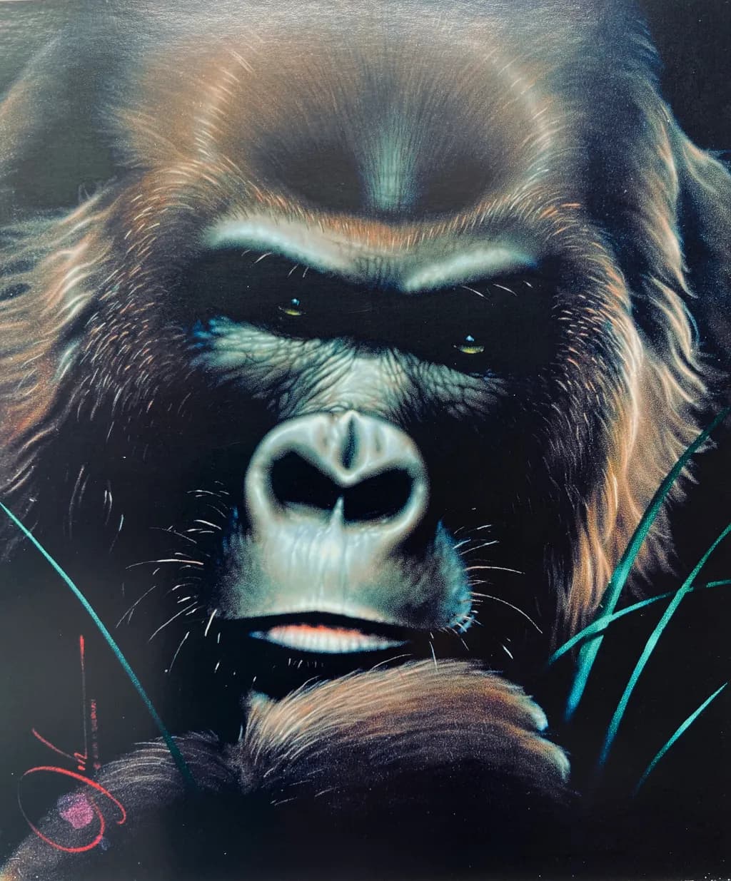 Gorilla Gaze