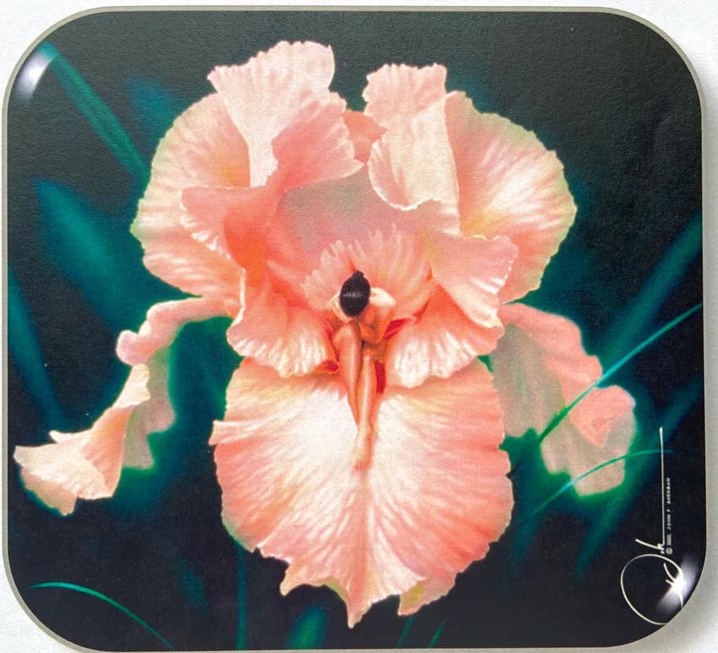 Coral Hibiscus Bloom