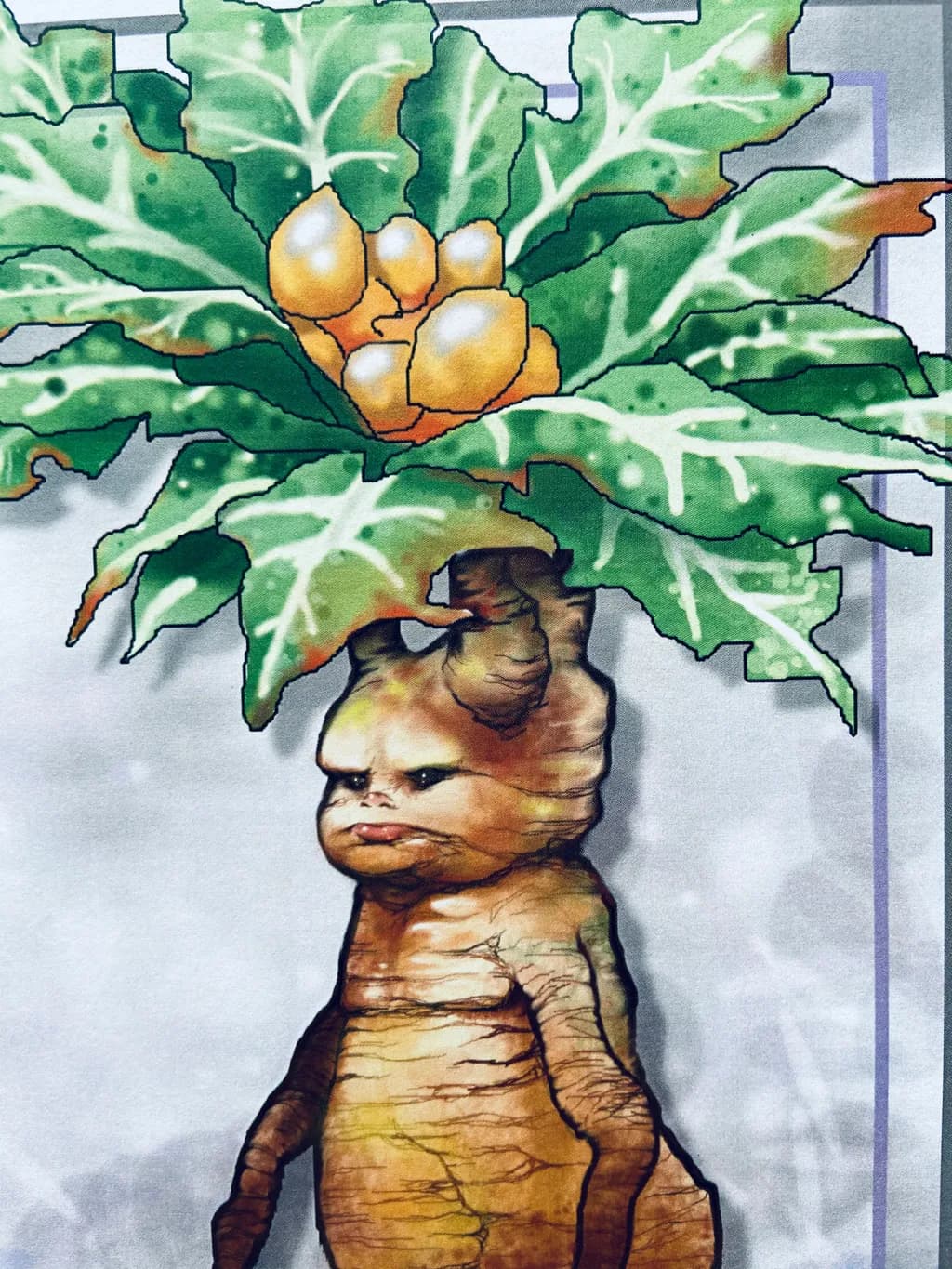 Rooted Under Leaves