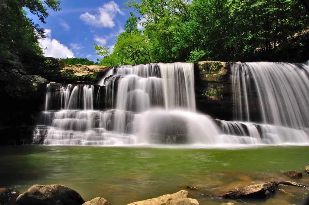 Tiered Forest Falls