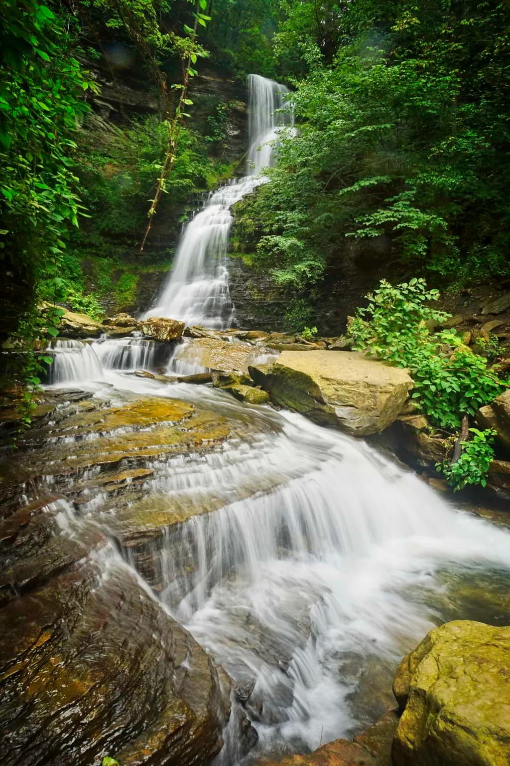 Forest Cascade Falls