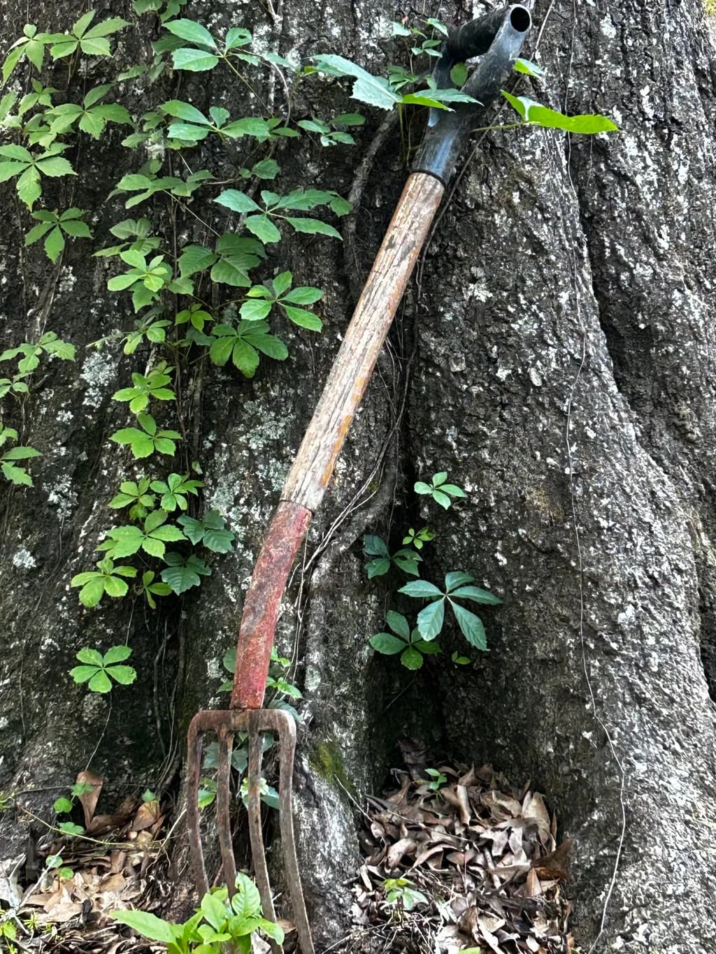 Garden Tool Resting Treeledge