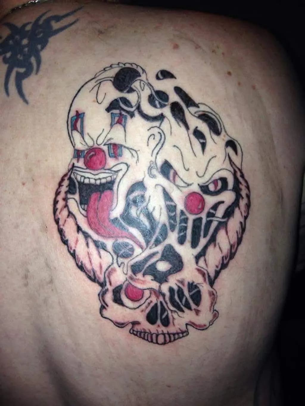 Grinning Skull Harlequin
