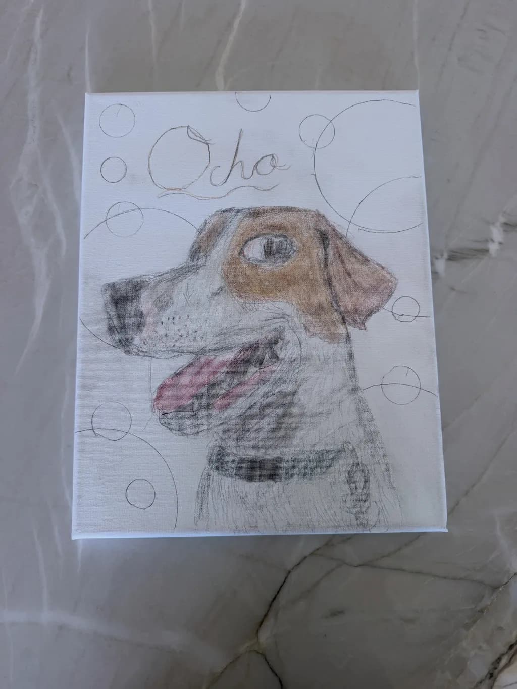Collared Dog Portrait