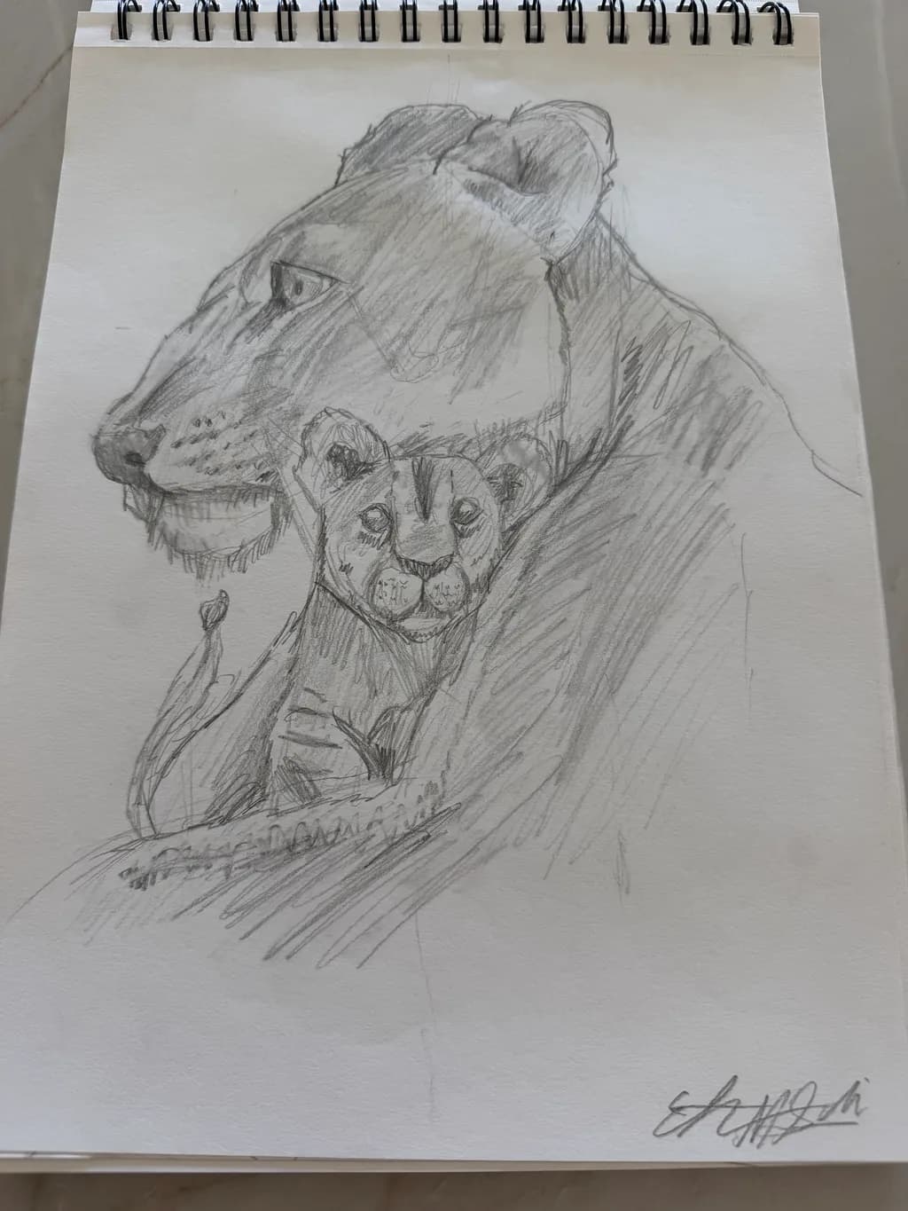 Lioness and Cub