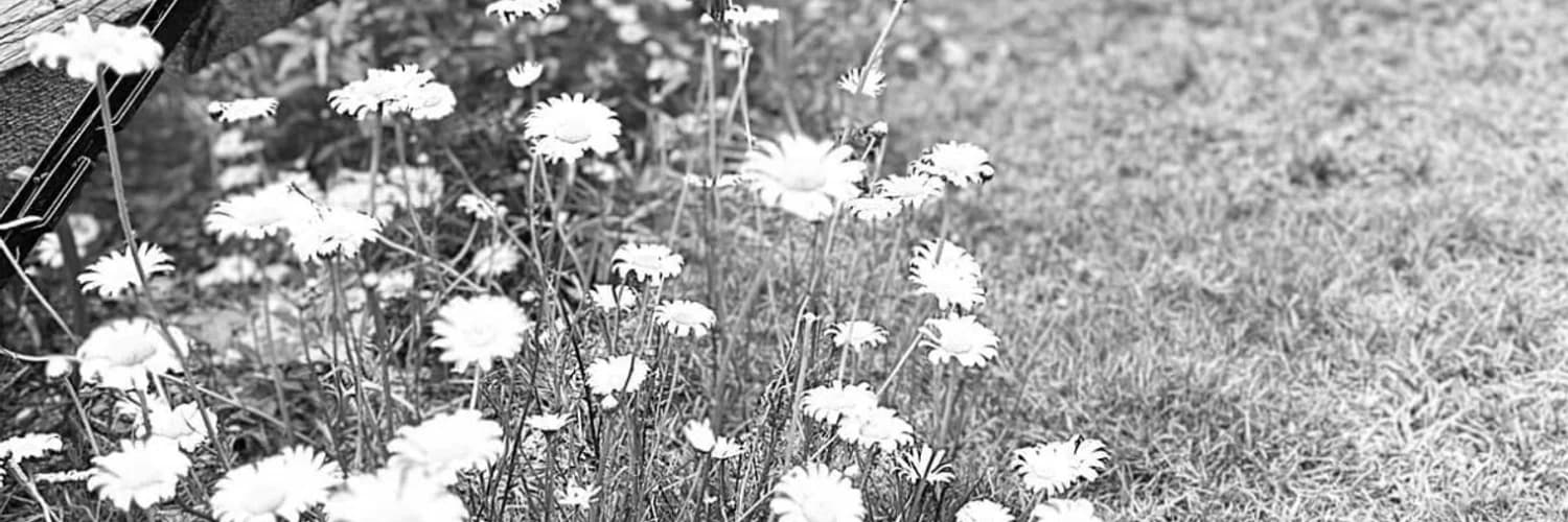 Profilbanner