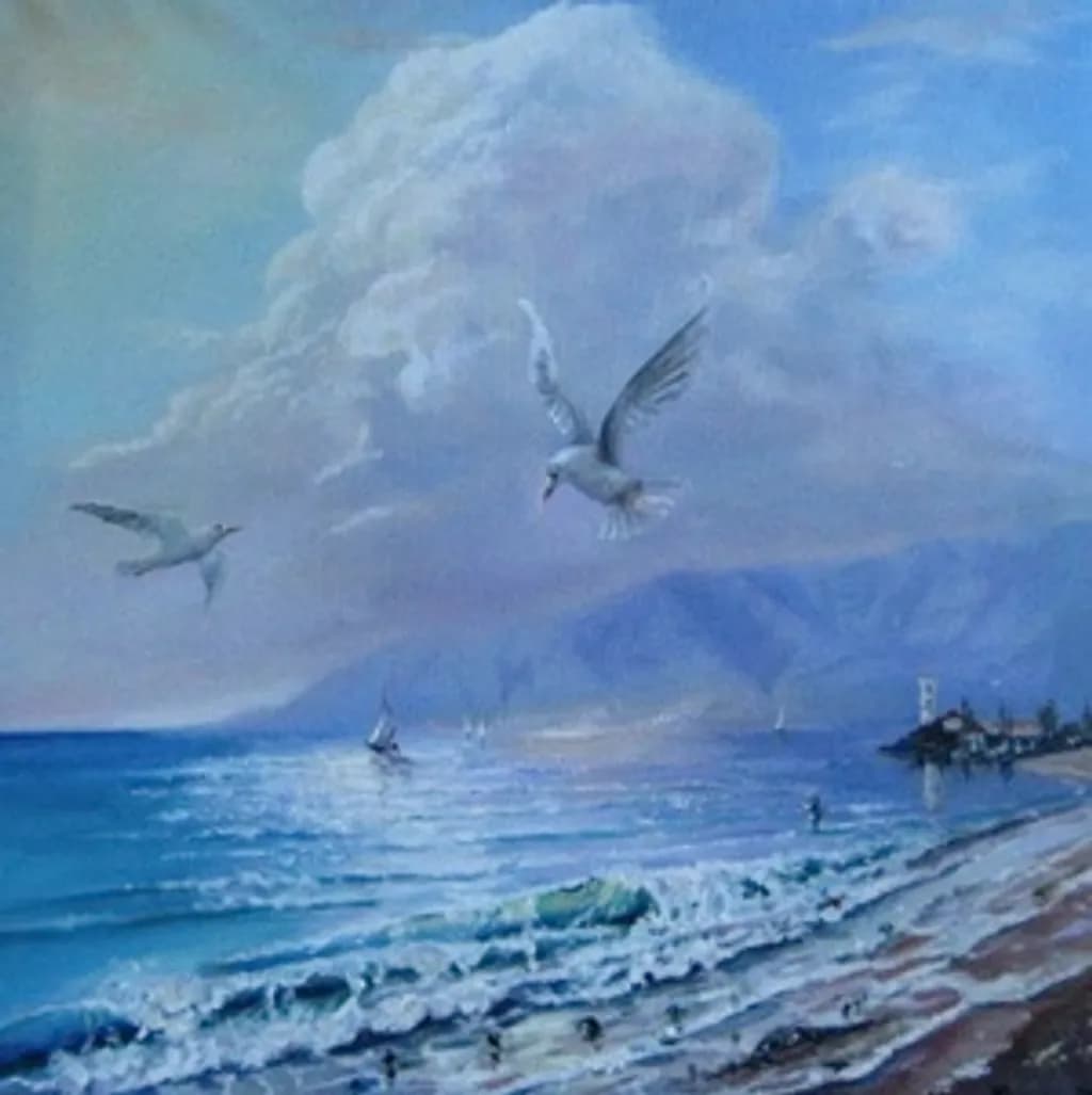 Adriatic Sea Gulls
