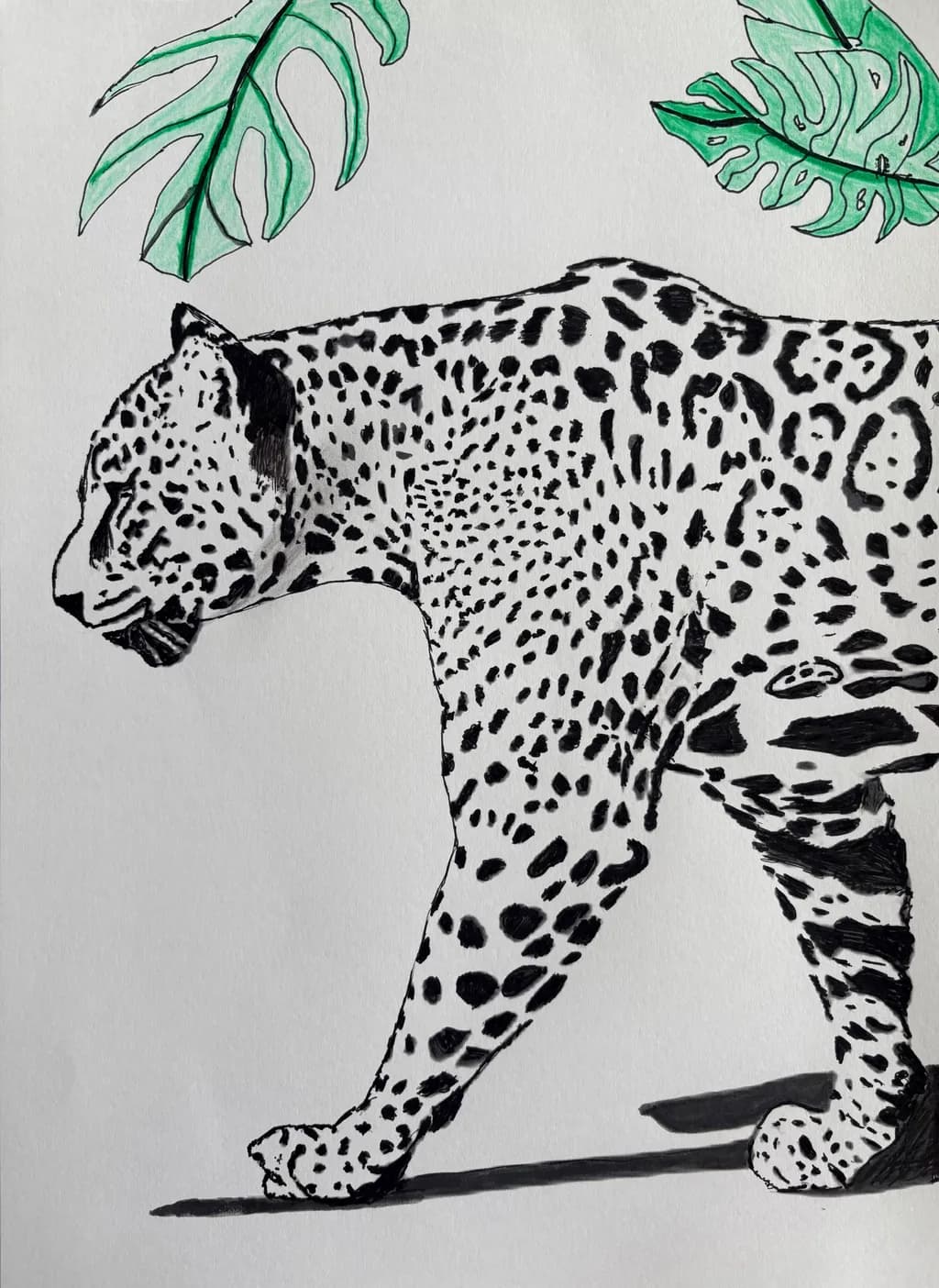 Spotted Jaguar Among Monstera Leaves