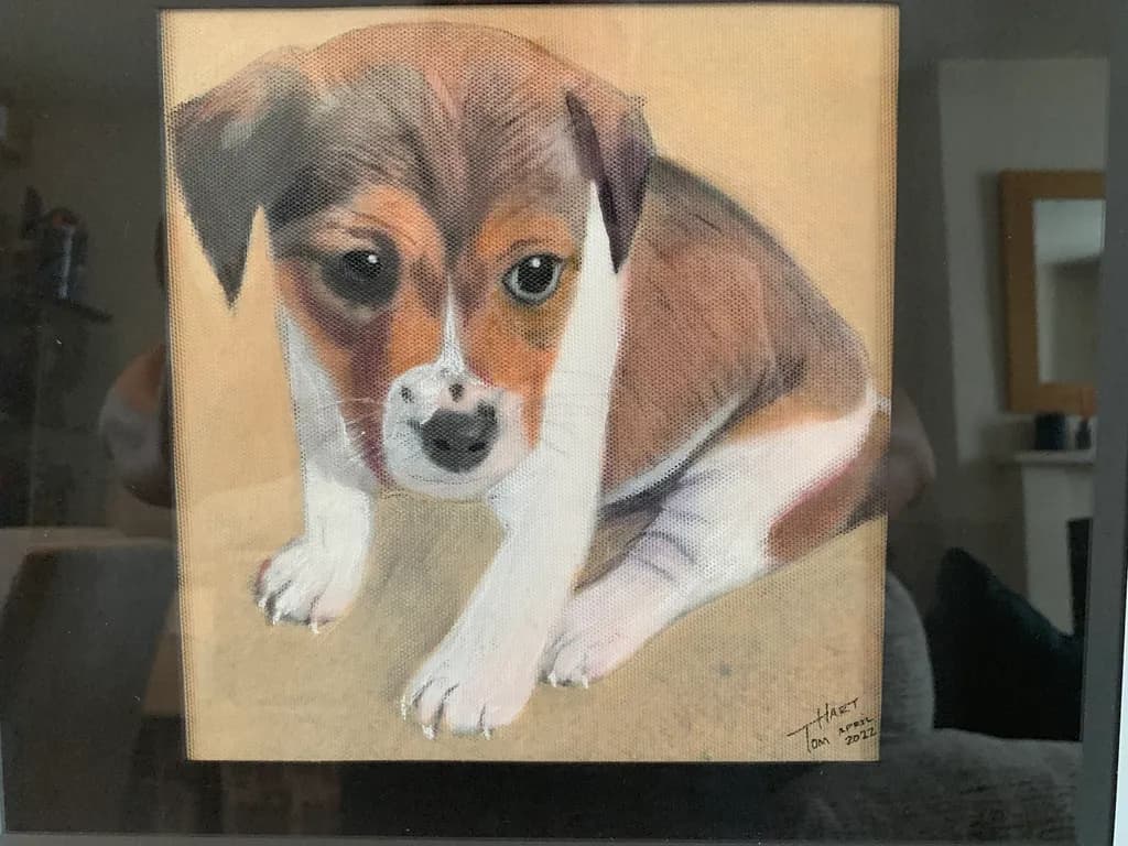 Curious Puppy Portrait