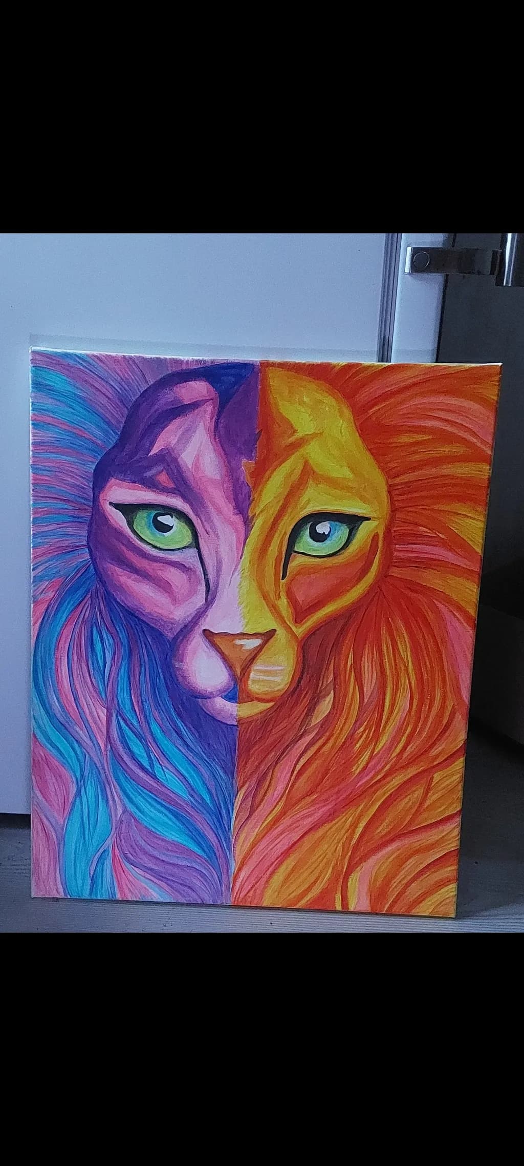Dual Color Cats