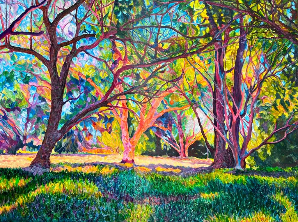 Bibra Lake Reserve