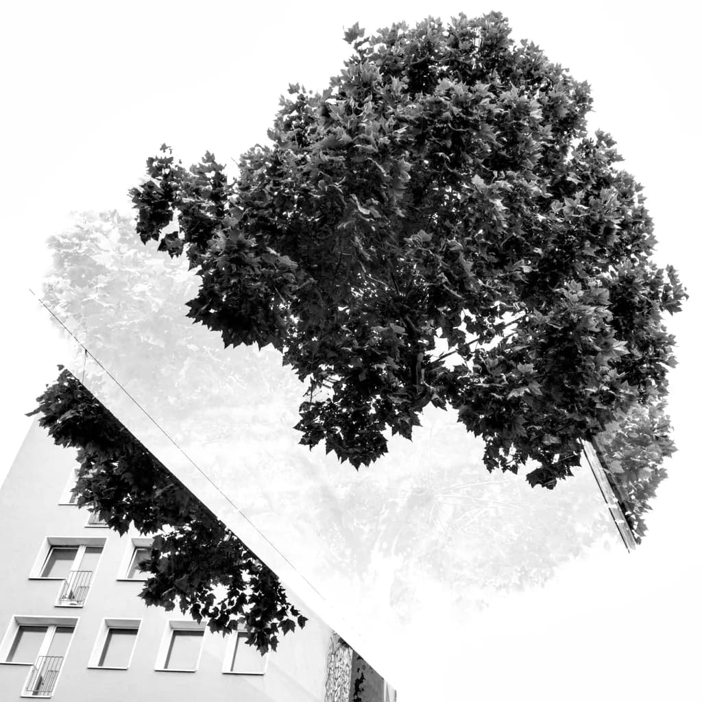 Double Exposure Treescape