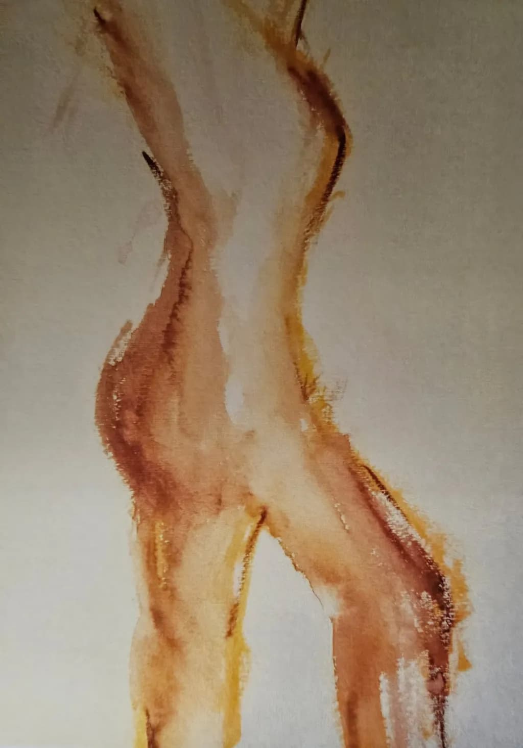 Amber Contours