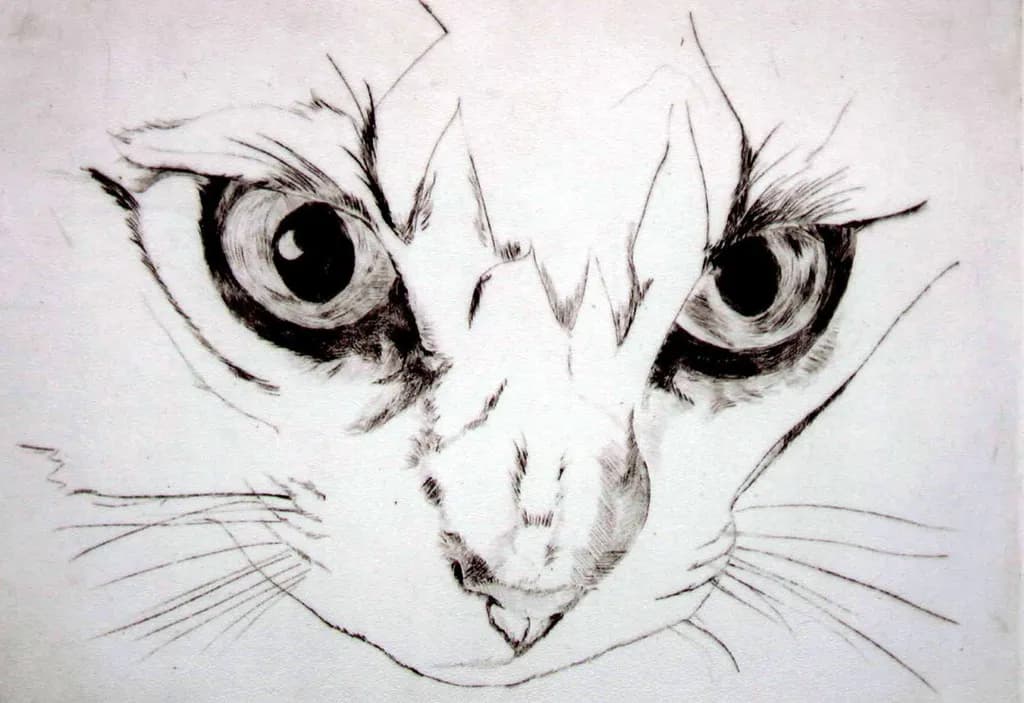 Ink Cat Gaze