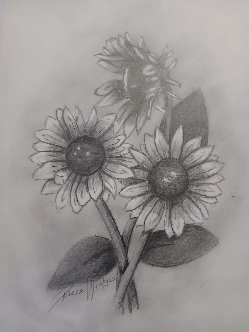 Sunflower Trio