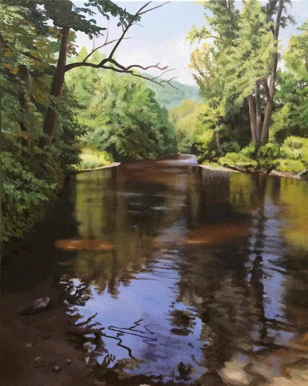 Forest River Reflections