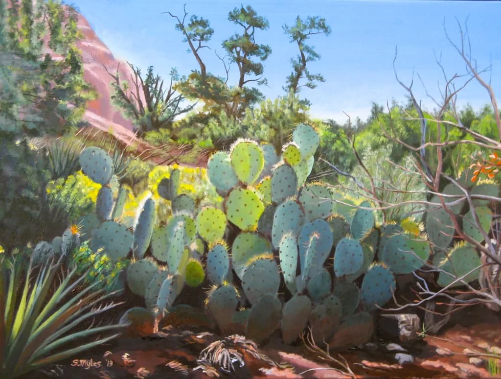 Sunlit Cactus at Sedona Vortex