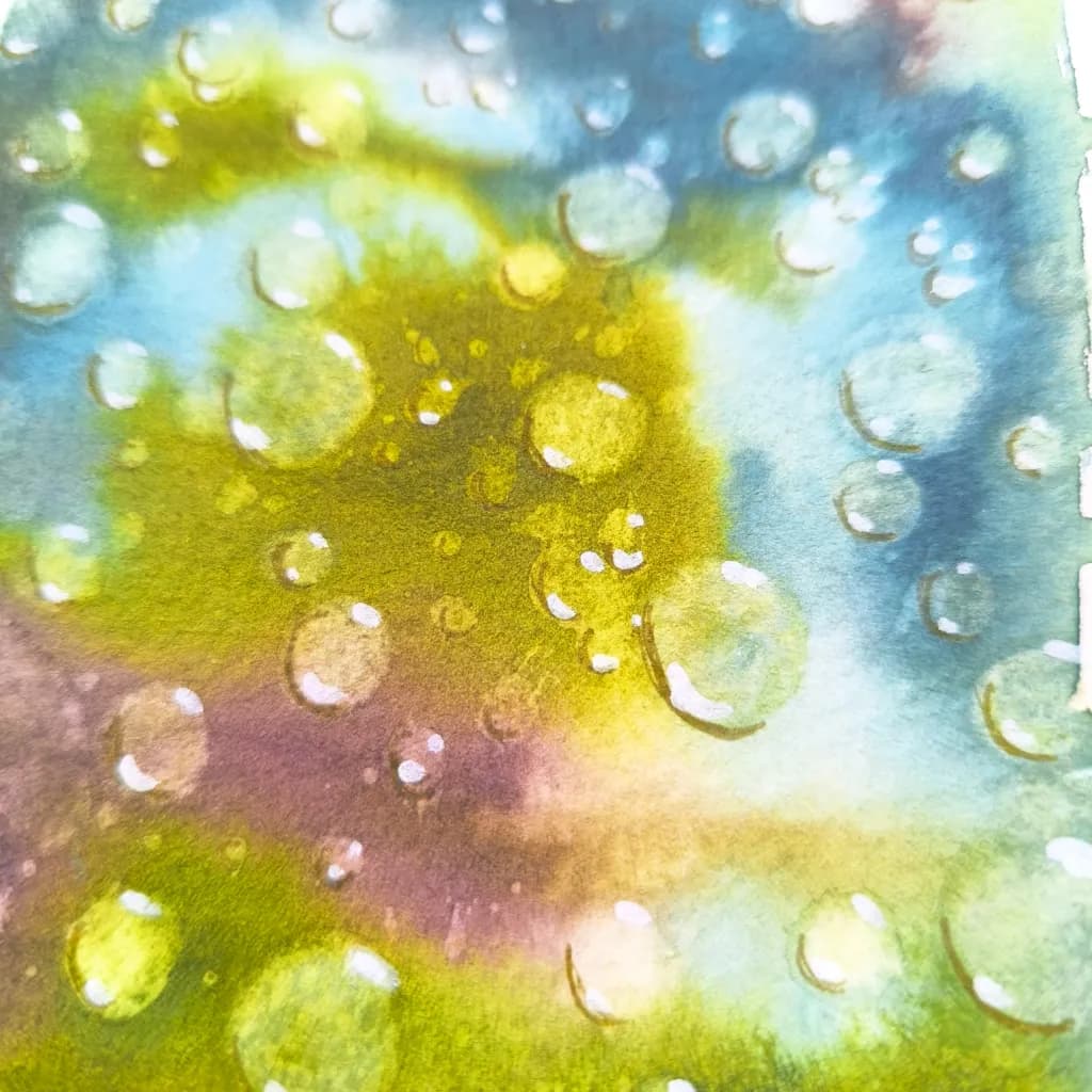 Rainlit Meadow
