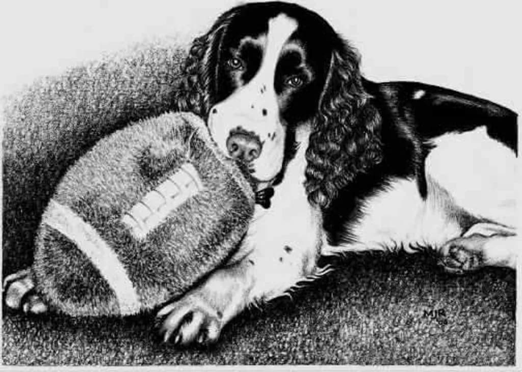 Dog and Ball Resting