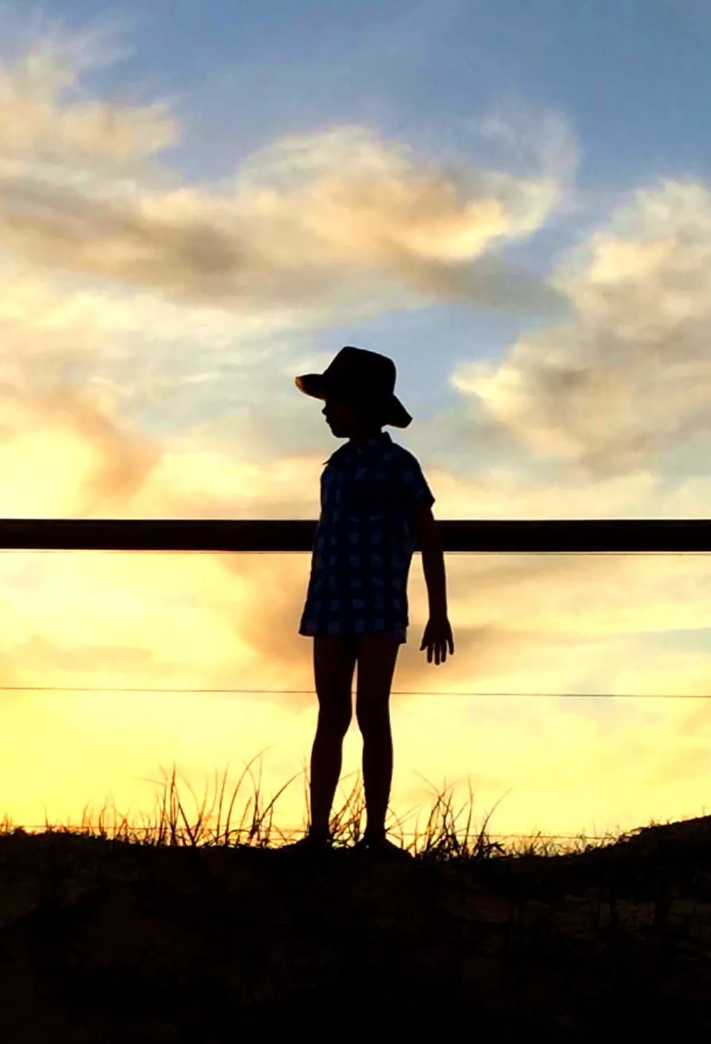 Golden Hour Silhouette