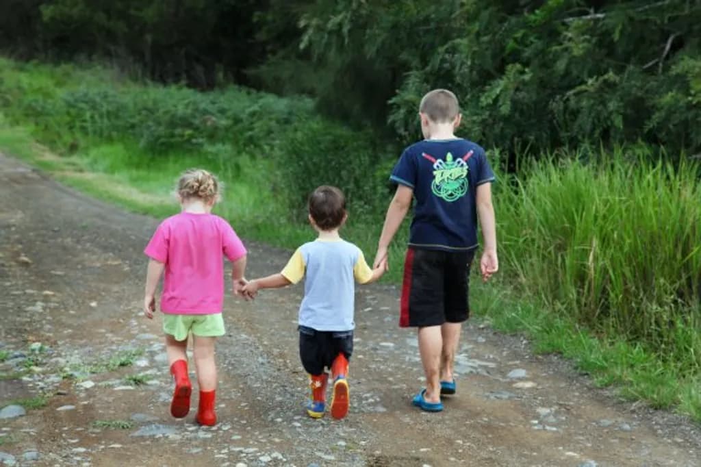 Three Friends on the Forest Path