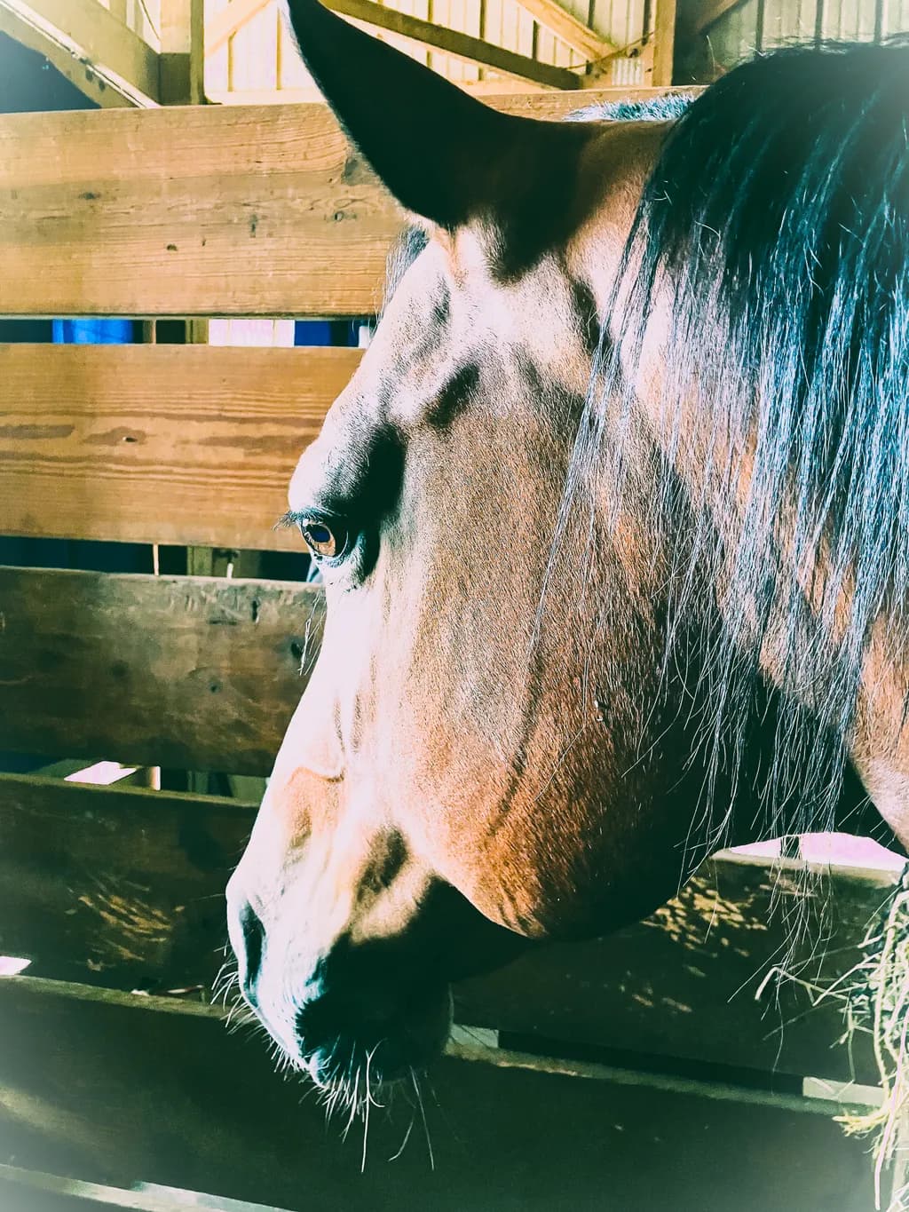 Stable Side-Eye