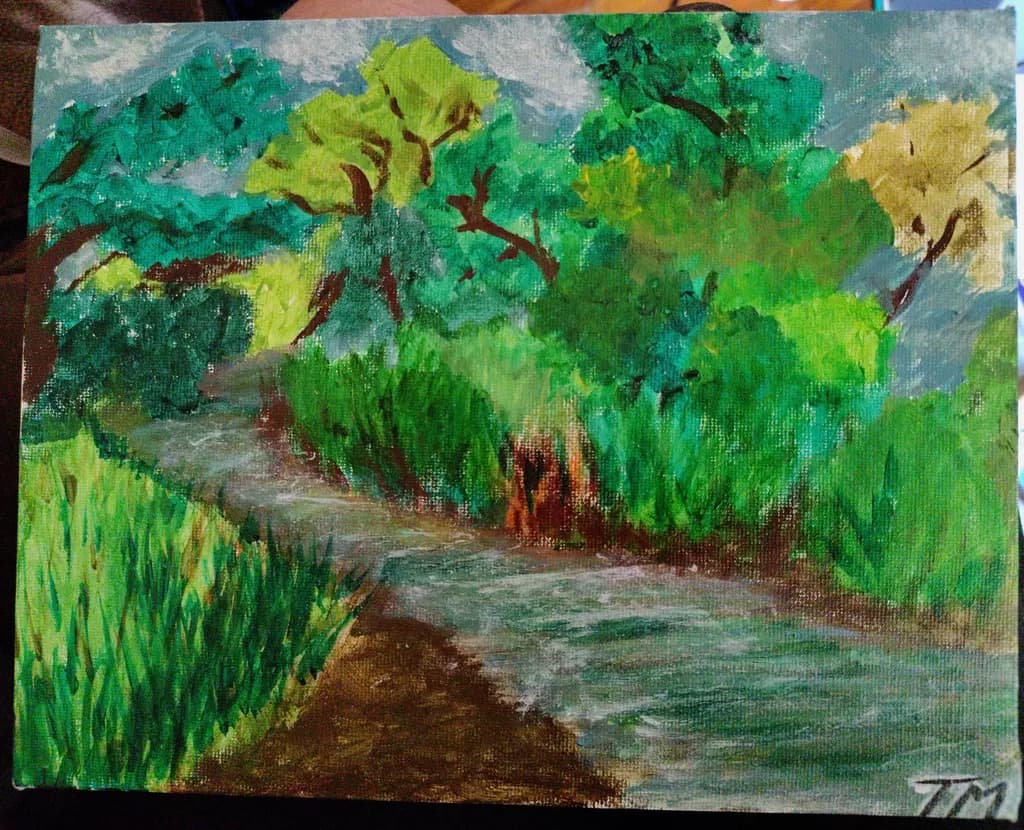 Forest Stream Path
