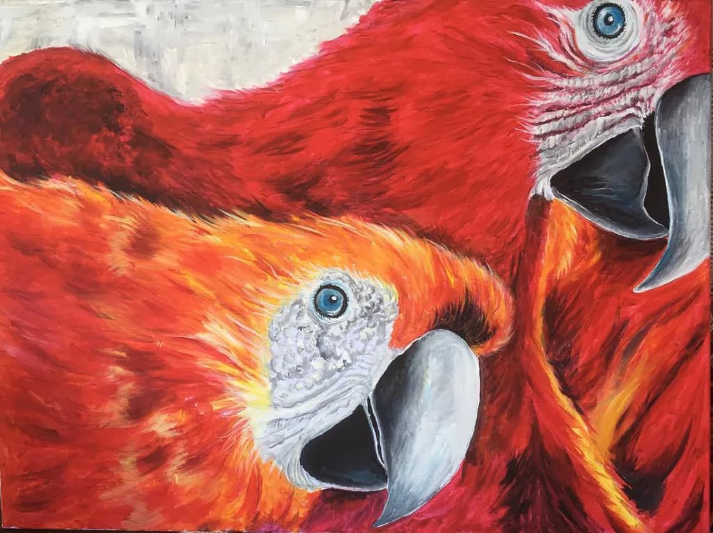 Scarlet Macaw Pair