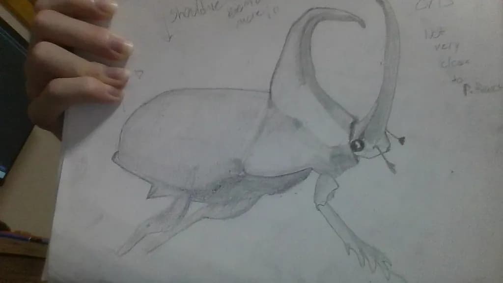 Long-Necked Bird Study