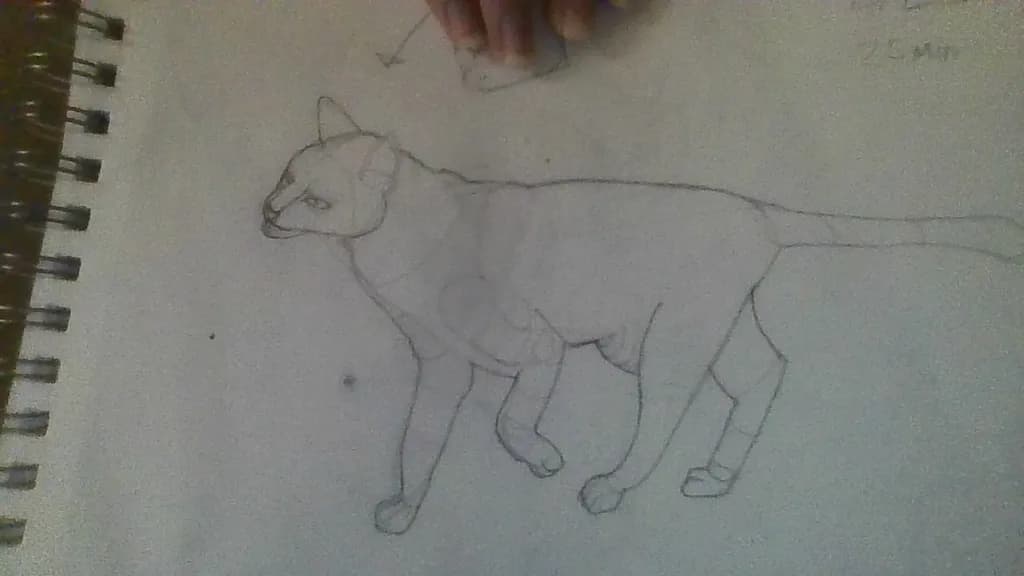 Leaping Cat