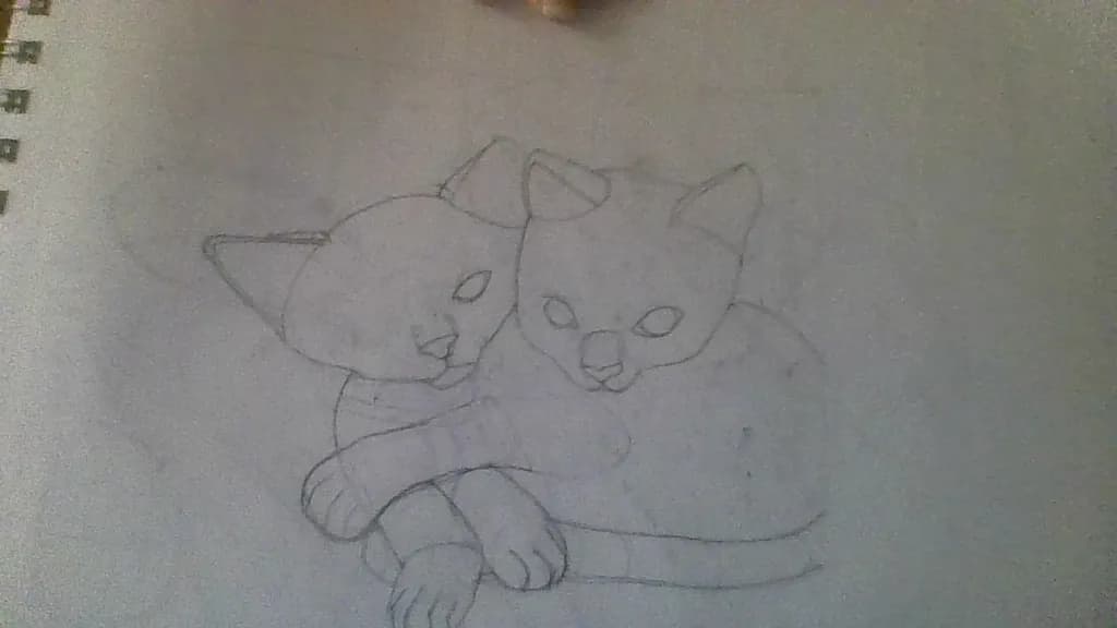 Tandem Cat Cuddles
