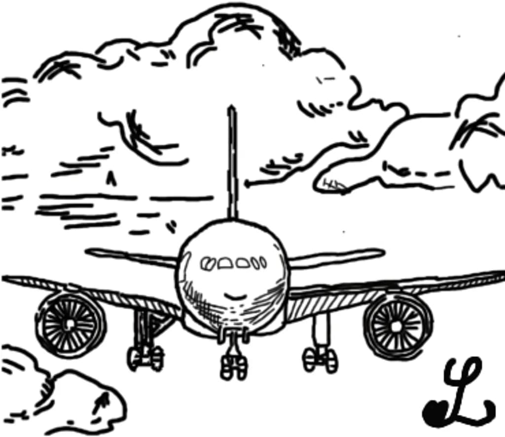 Airplane in Flight