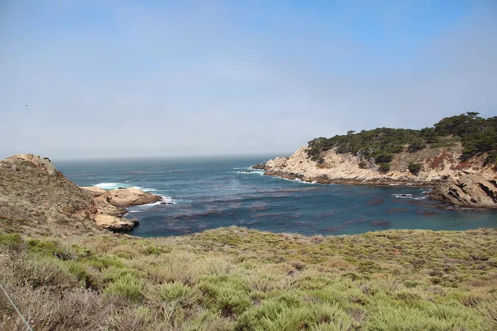 The Cove