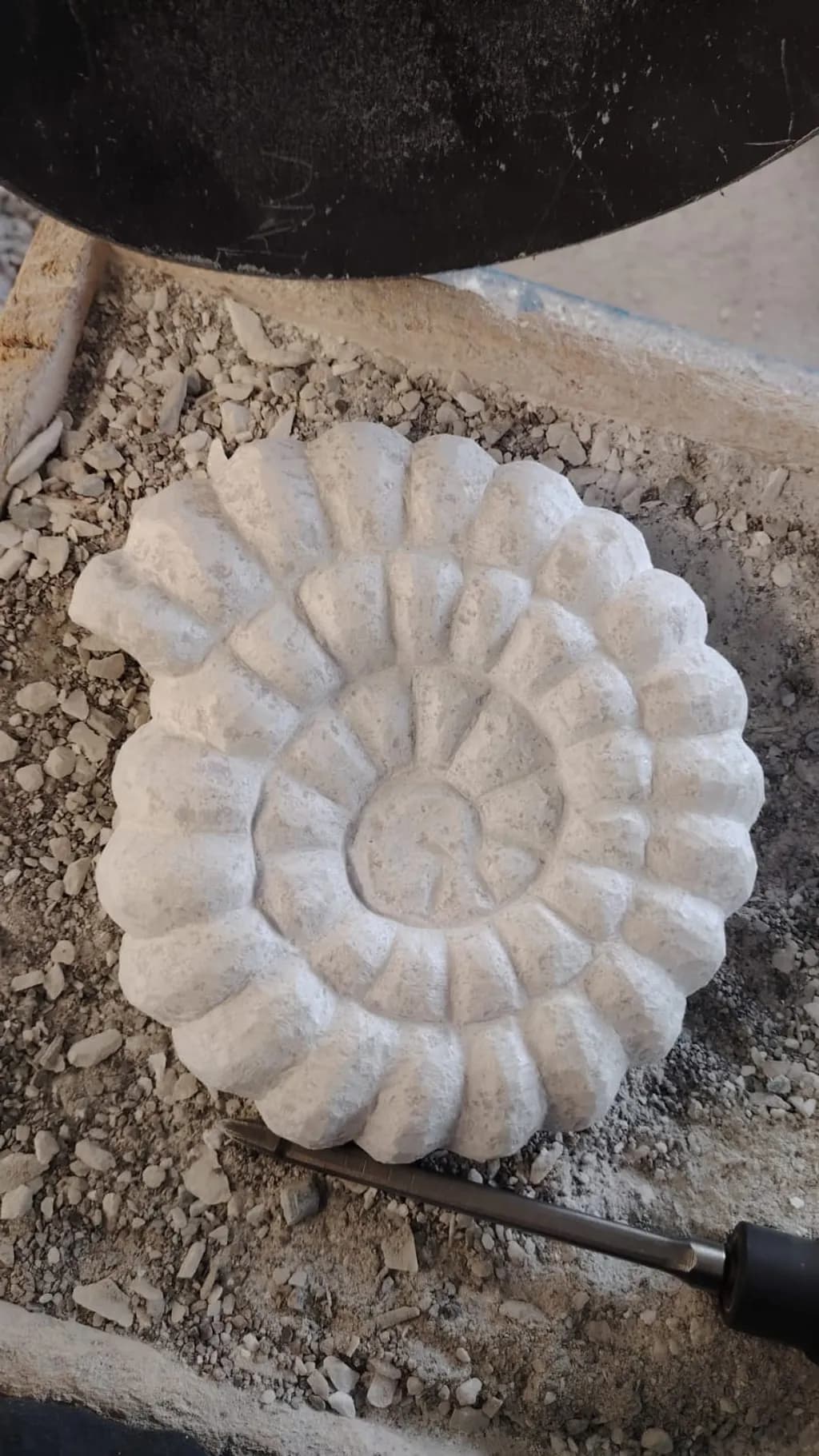 Carved Stone ammonit