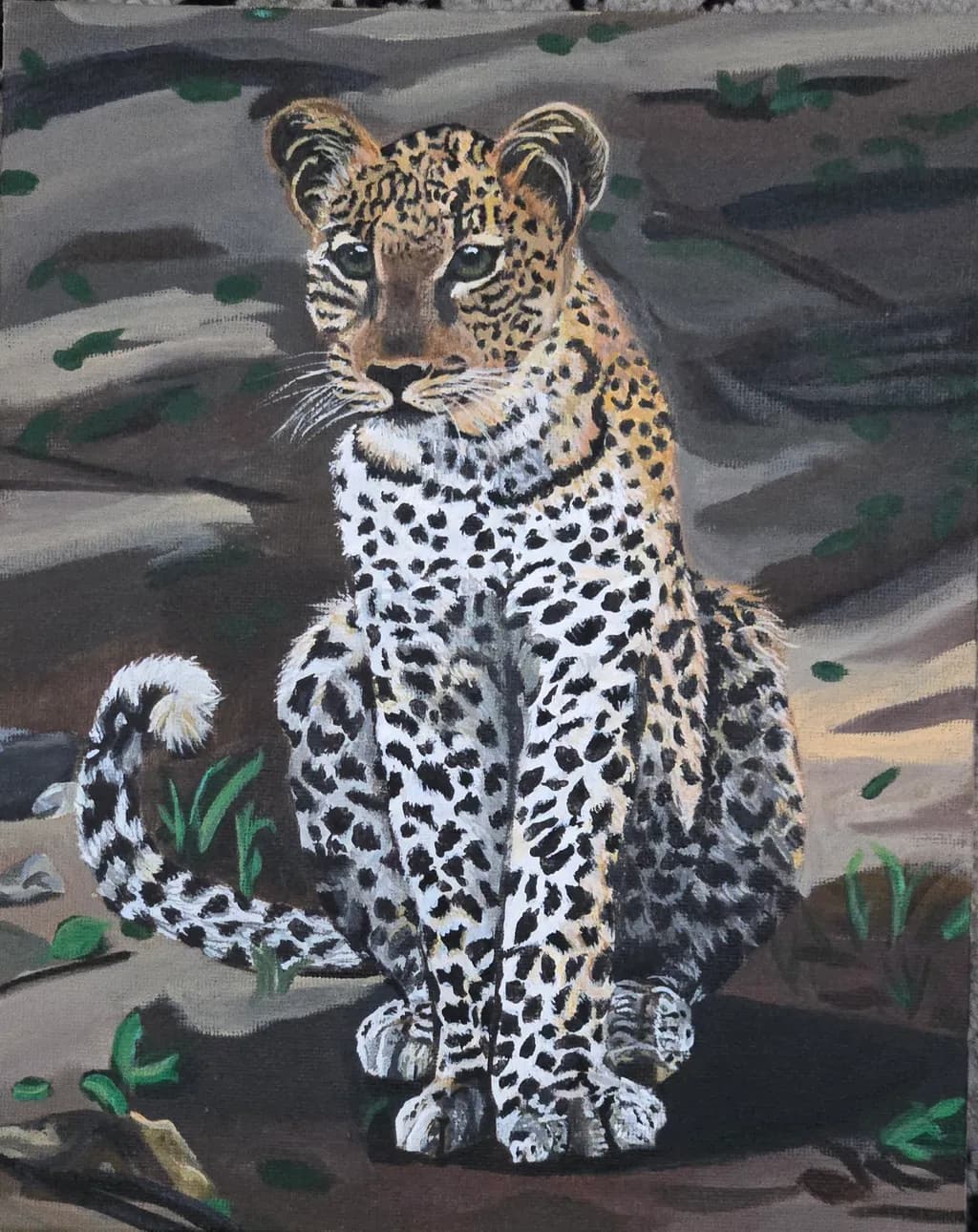 Young Leopard Learning