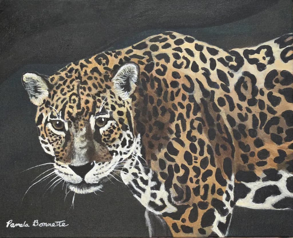 Jaguar Portrait