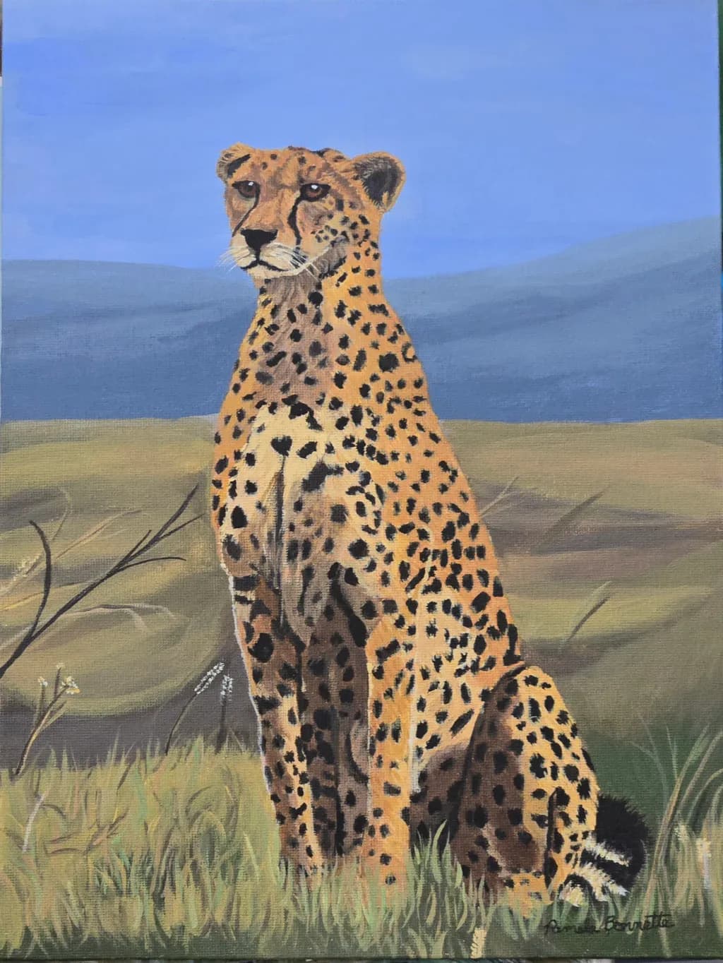 Spotted Cheetah Grassland