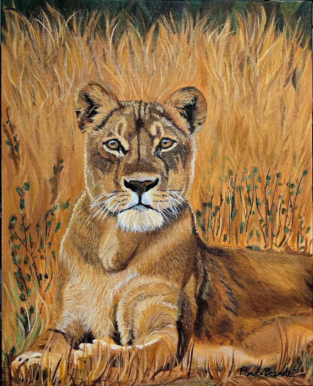 Lioness in Tall Grass