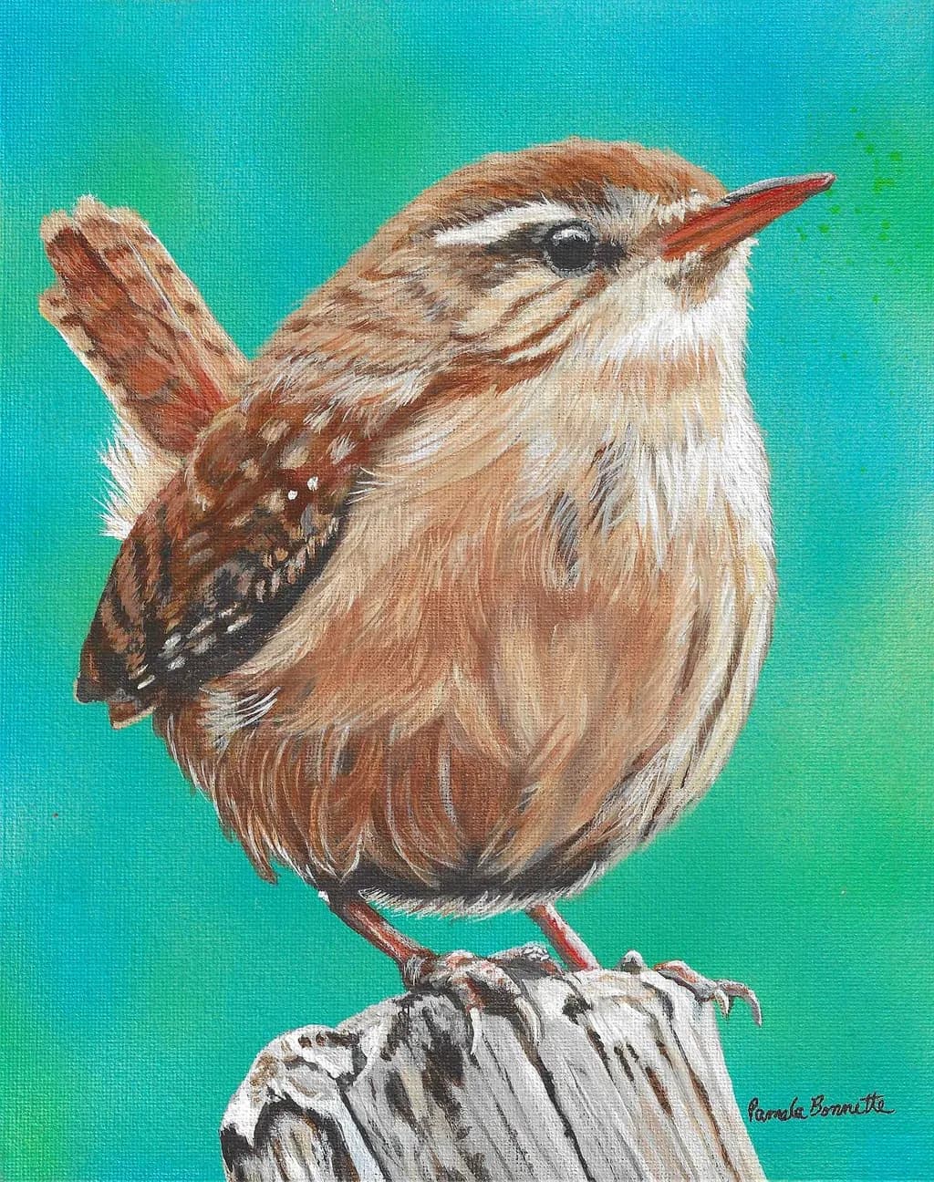 Wren on Perch