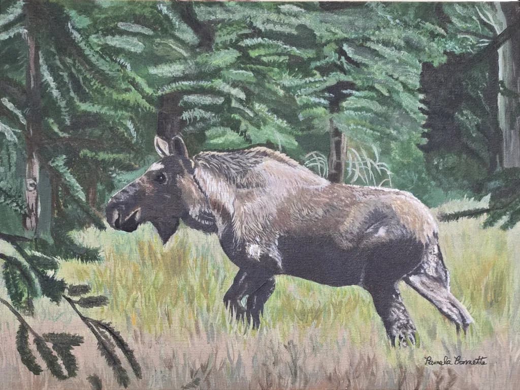 Forest Moose Trek