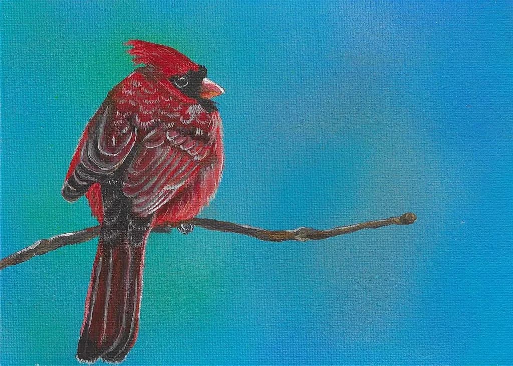 Cardinal on a Branch