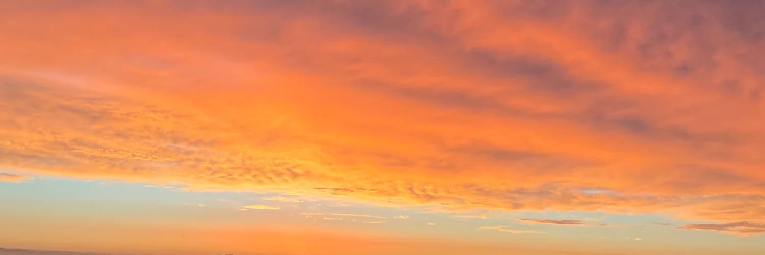 Profile banner