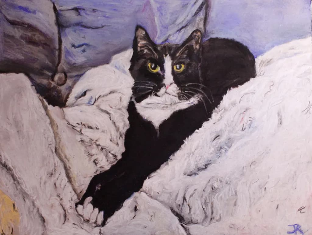 Tuxedo Cat Resting