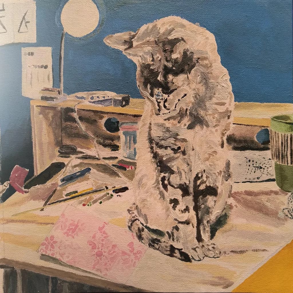 Studio Cat