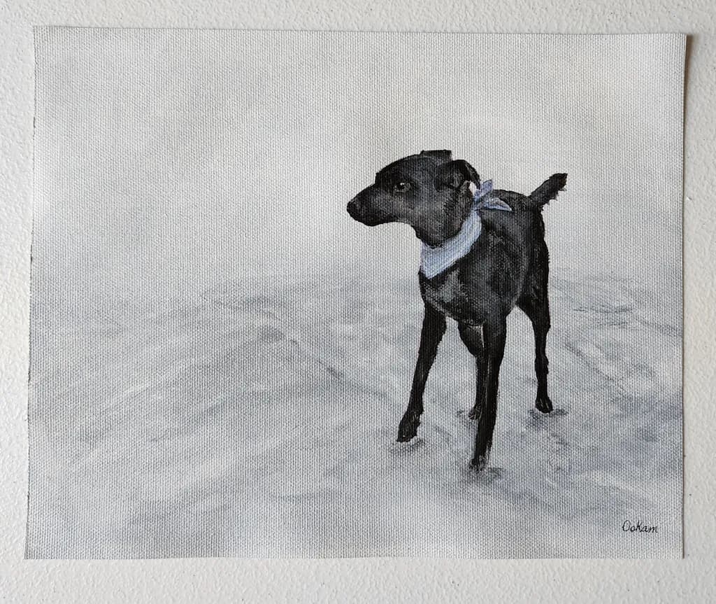 Black Dog in Blue Bandana