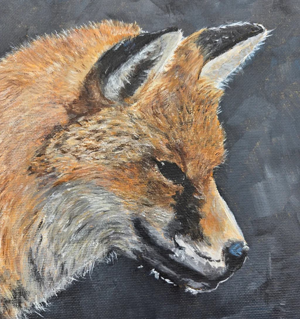 Red Fox Portrait