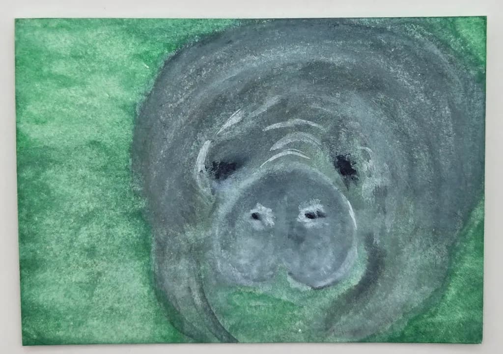 Manatee in the Green