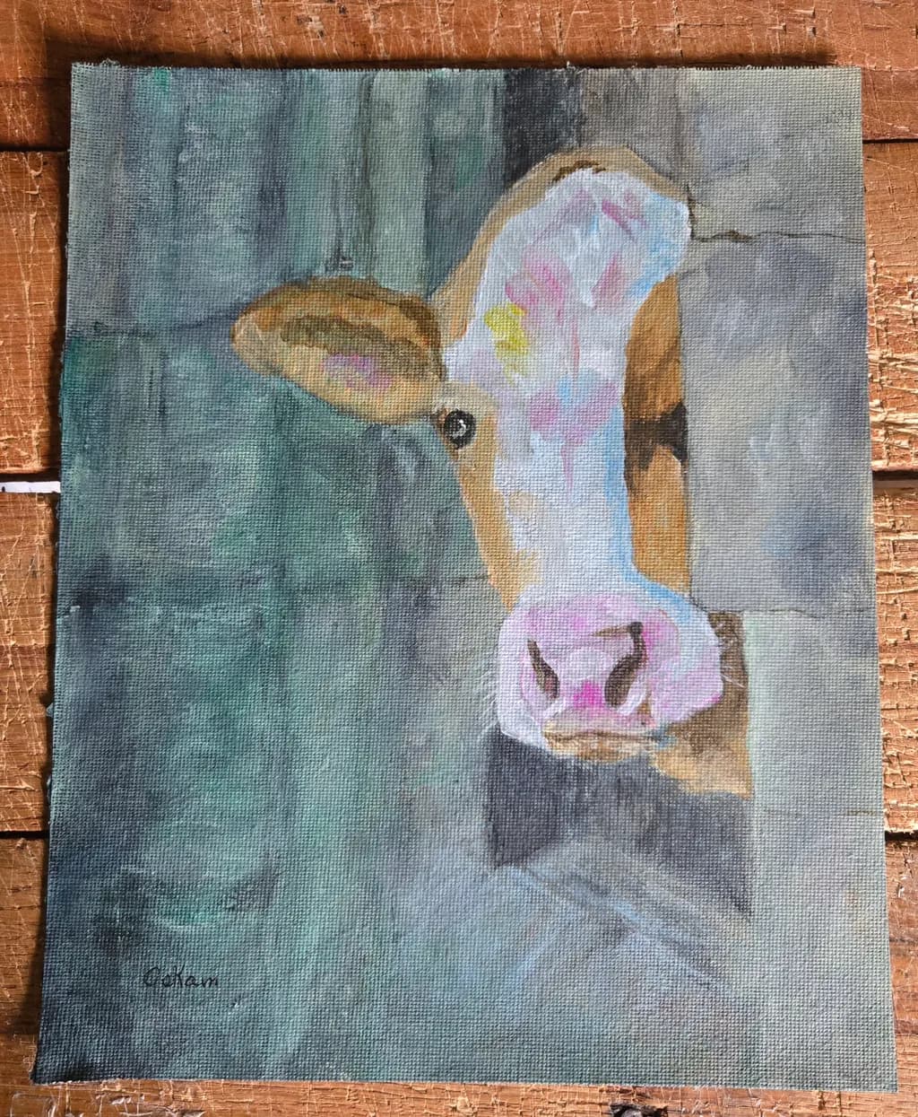 Curious Cow Portrait